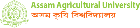 AAU Logo